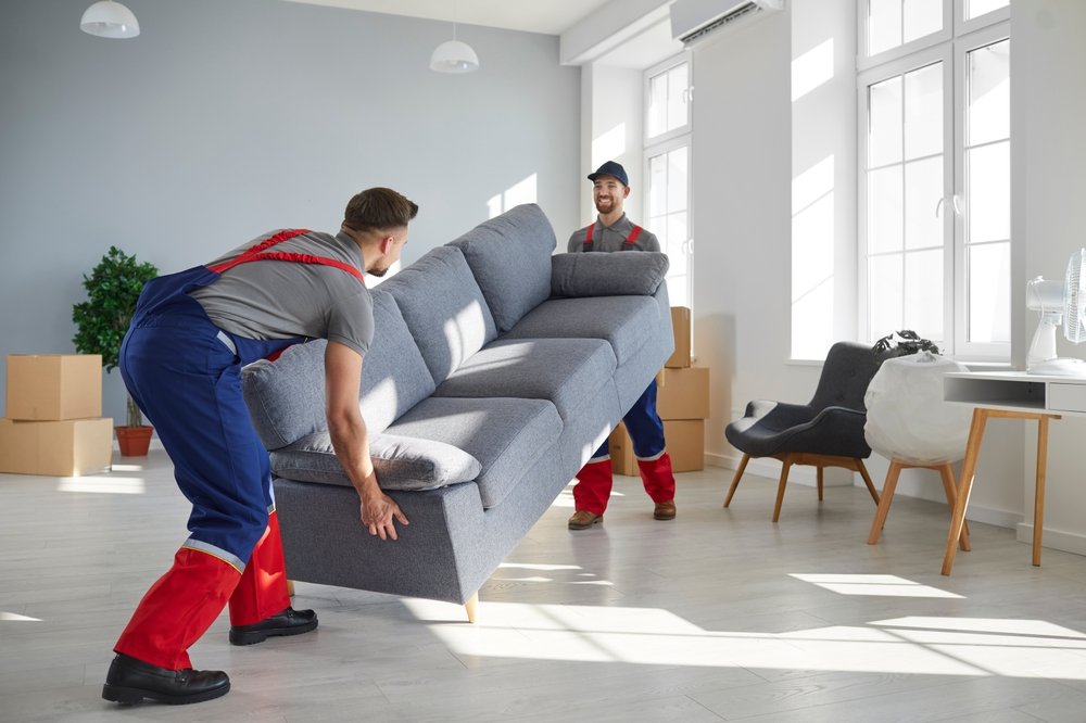 two,young,workers,lift,up,heavy,sofa,together.,young,men